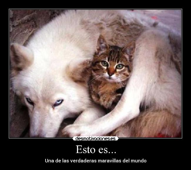 Esto es... - 