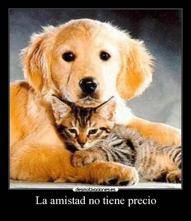 La amistad no tiene precio -