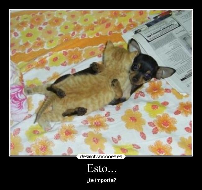 Esto... - ¿te importa?