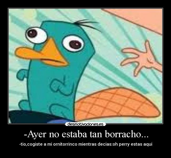 -Ayer no estaba tan borracho... - -tio,cogiste a mi ornitorrinco mientras decias:oh perry estas aqui