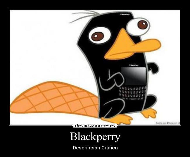 Blackperry - 