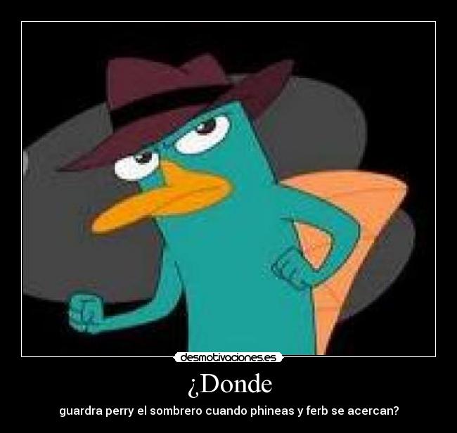 ¿Donde -