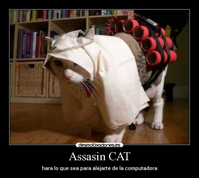 carteles assasincatharaloqueseaparaalejartedelacomputadora desmotivaciones