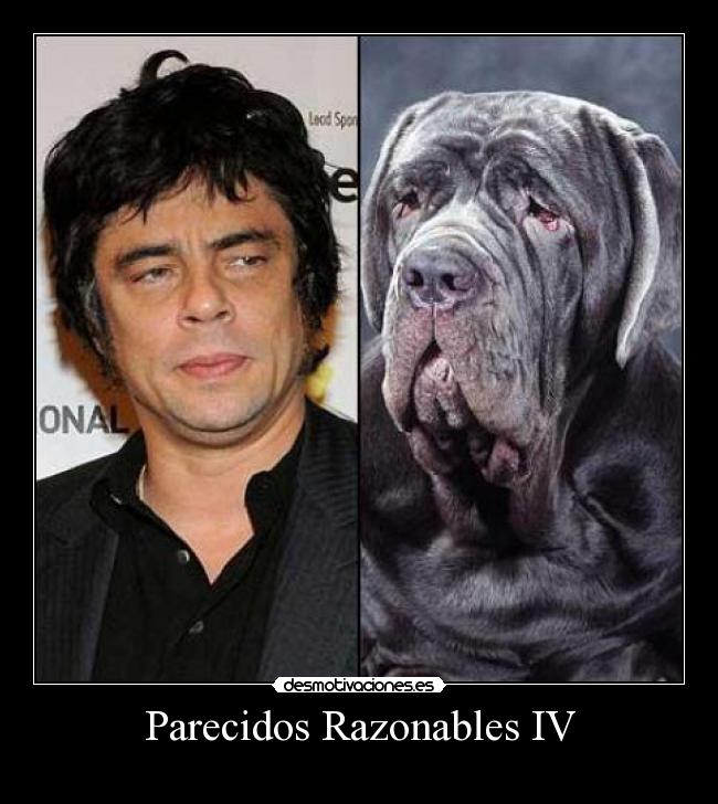 Parecidos Razonables IV -