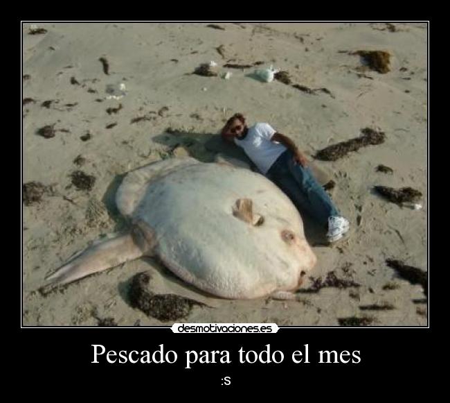 Pescado para todo el mes - 