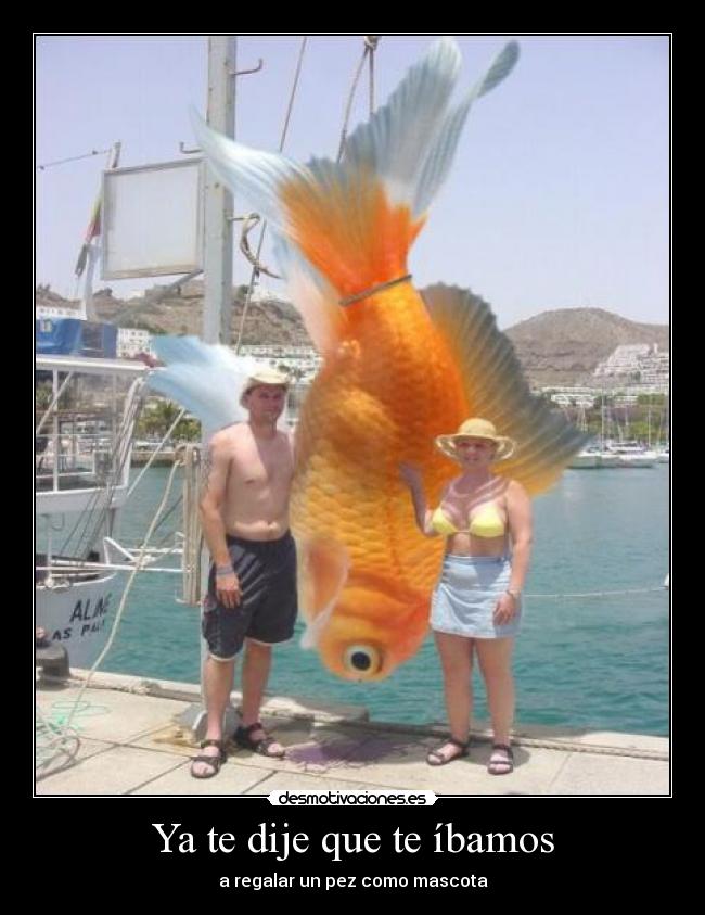 Ya te dije que te íbamos - a regalar un pez como mascota