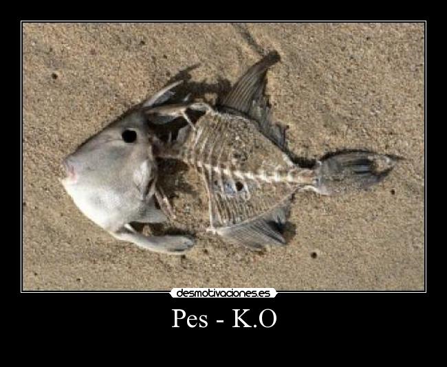 Pes - K.O -