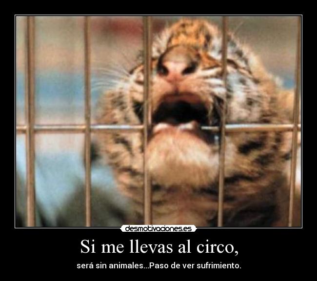 Si me llevas al circo, - 