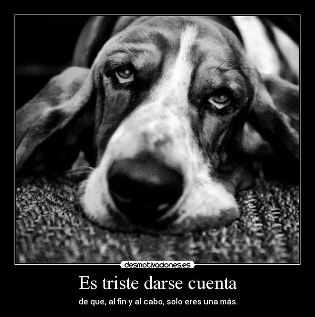 Es triste darse cuenta - de que, al fin y al cabo, solo eres una más.