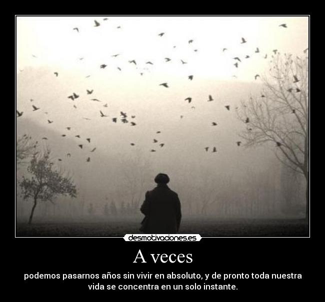 A veces - podemos pasarnos años sin vivir en absoluto, y de pronto toda nuestra
vida se concentra en un solo instante.