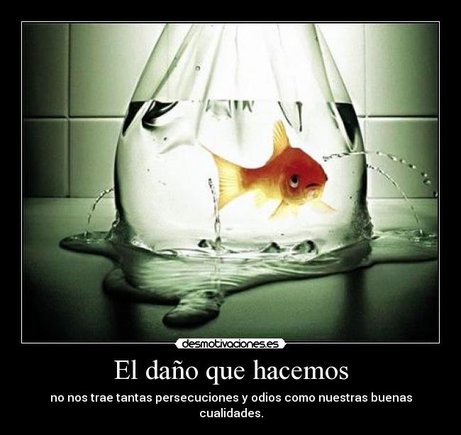 El daño que hacemos -