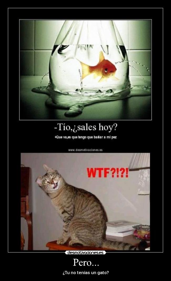 Pero... - ¿Tu no tenías un gato?