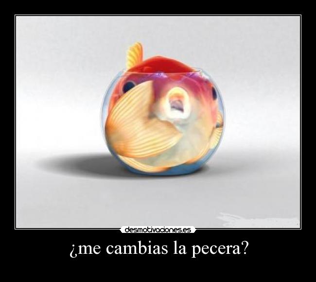 ¿me cambias la pecera? - 