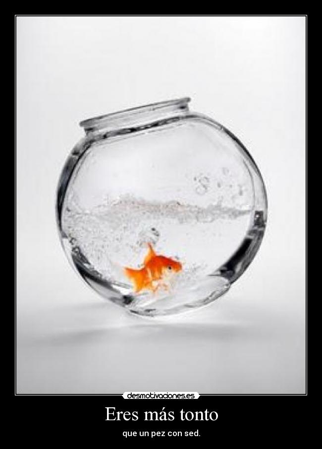 Eres más tonto -