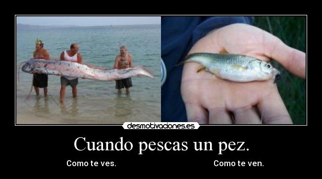 Cuando pescas un pez. -