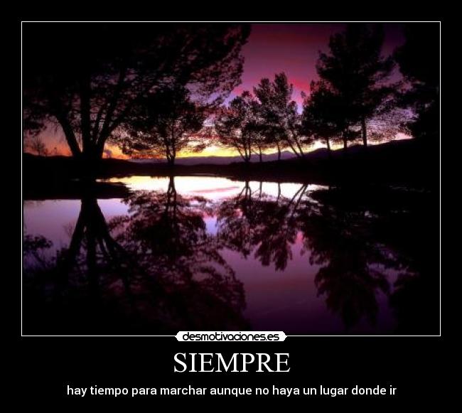 carteles siempre desmotivaciones