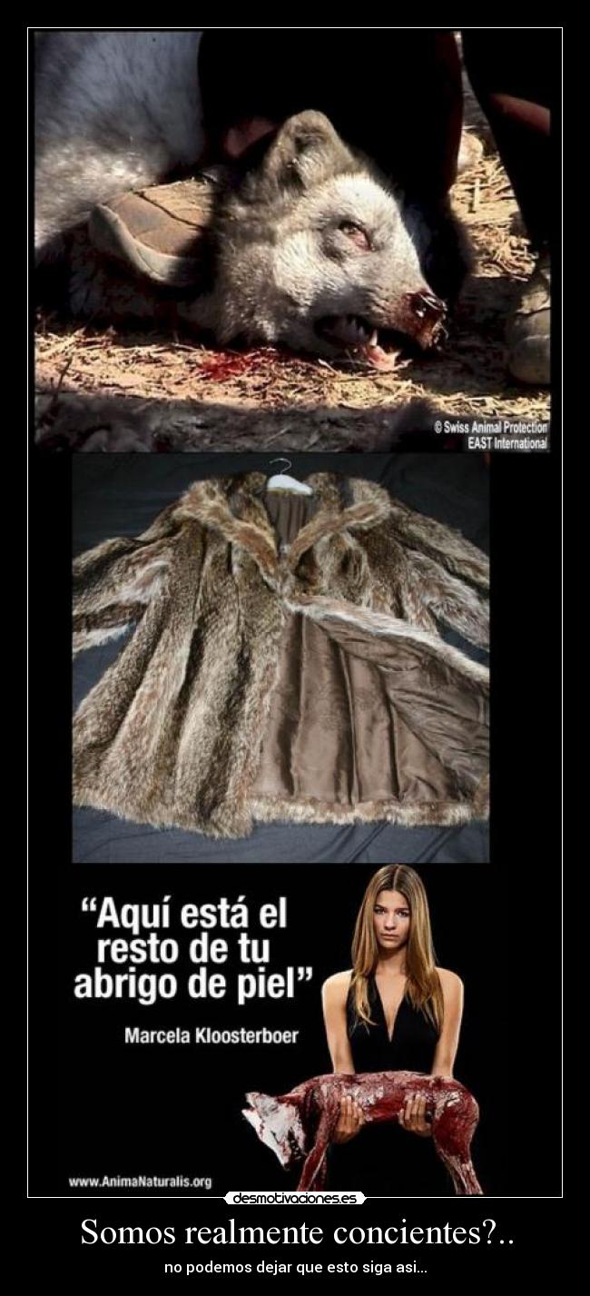 Somos realmente concientes?.. -