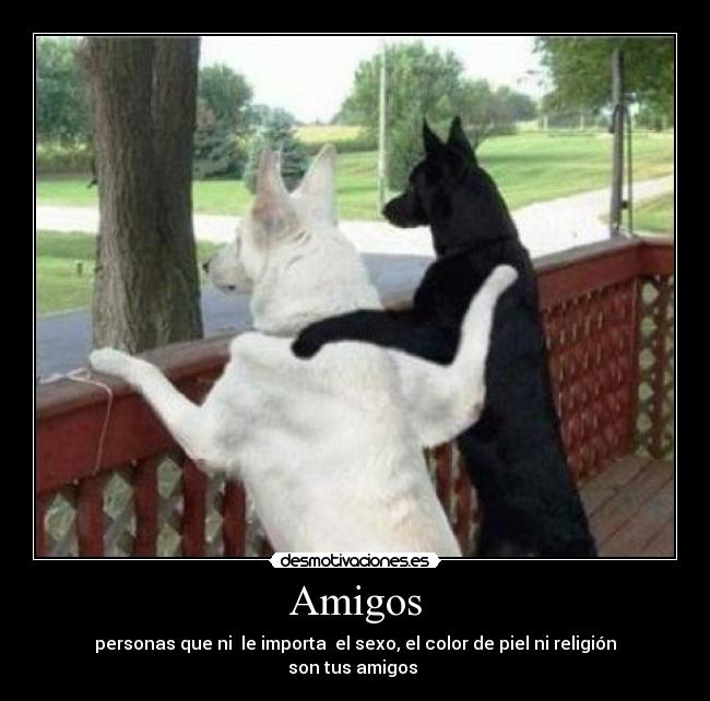Amigos - personas que ni le importa el sexo, el color de piel ni religión son tus amigos
