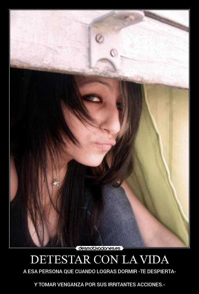 carteles vida sueno molestia venganza desmotivaciones