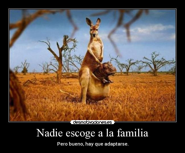 Nadie escoge a la familia - Pero bueno, hay que adaptarse.