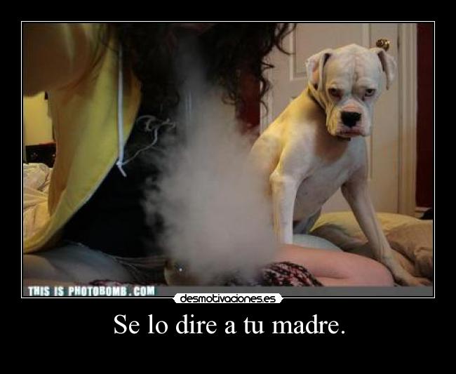 Se lo dire a tu madre. - 