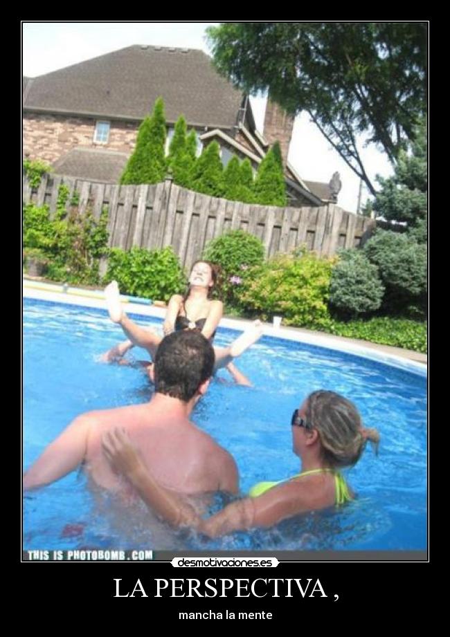 LA PERSPECTIVA , -