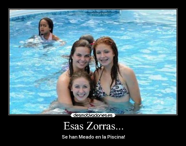 Esas Zorras... - Se han Meado en la Piscina!