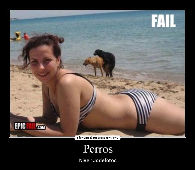 Perros -