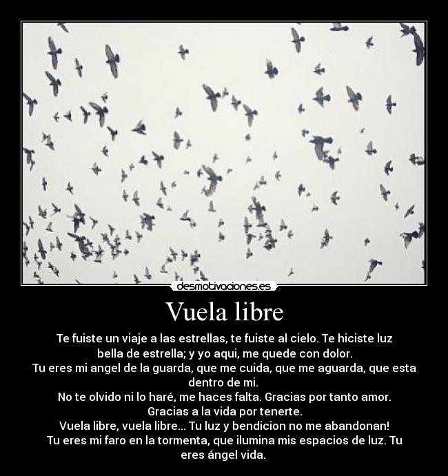 Vuela libre - Te fuiste un viaje a las estrellas, te fuiste al cielo. Te hiciste luz
bella de estrella; y yo aqui, me quede con dolor.
Tu eres mi angel de la guarda, que me cuida, que me aguarda, que esta
dentro de mi. 
No te olvido ni lo haré, me haces falta. Gracias por tanto amor.
Gracias a la vida por tenerte.
Vuela libre, vuela libre... Tu luz y bendicion no me abandonan!
Tu eres mi faro en la tormenta, que ilumina mis espacios de luz. Tu
eres ángel vida. 