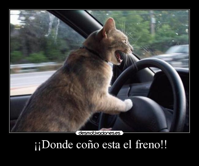 ¡¡Donde coño esta el freno!! -
