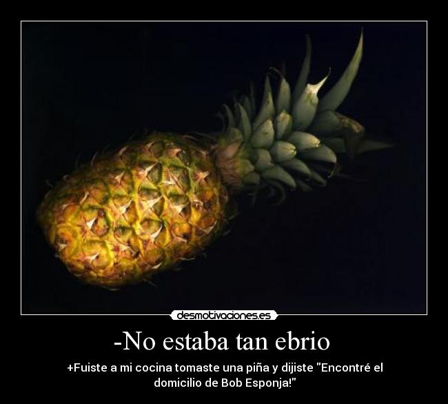 -No estaba tan ebrio  - +Fuiste a mi cocina tomaste una piña y dijiste Encontré el
domicilio de Bob Esponja!