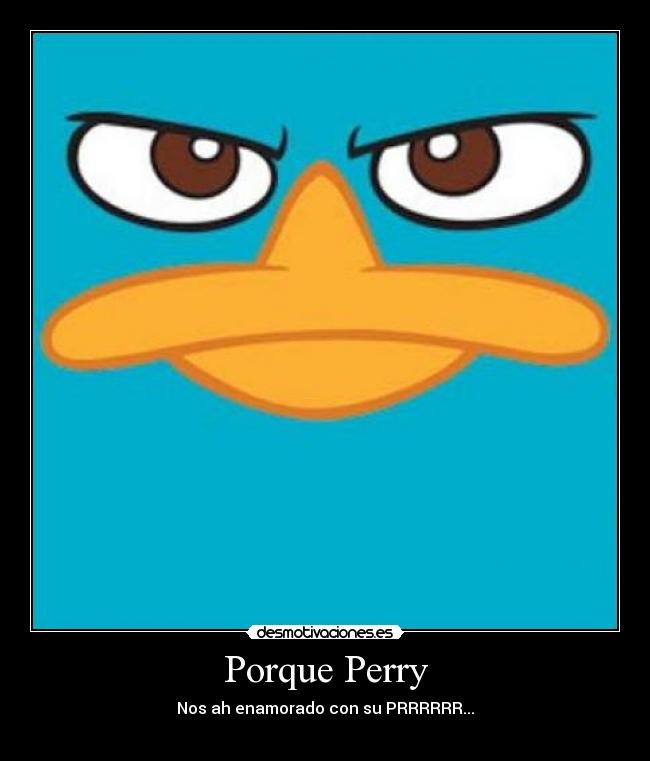 Porque Perry -