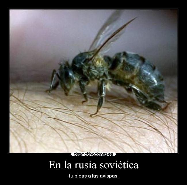 En la rusia soviética -