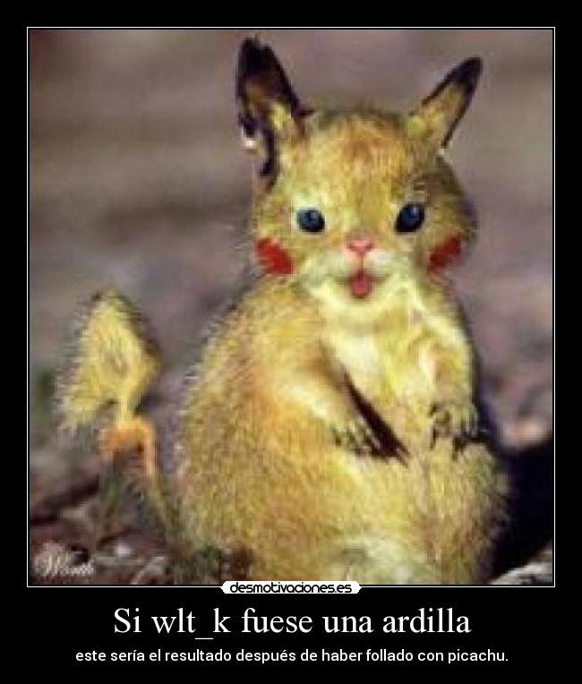 Si wlt_k fuese una ardilla - este sería el resultado después de haber follado con picachu.