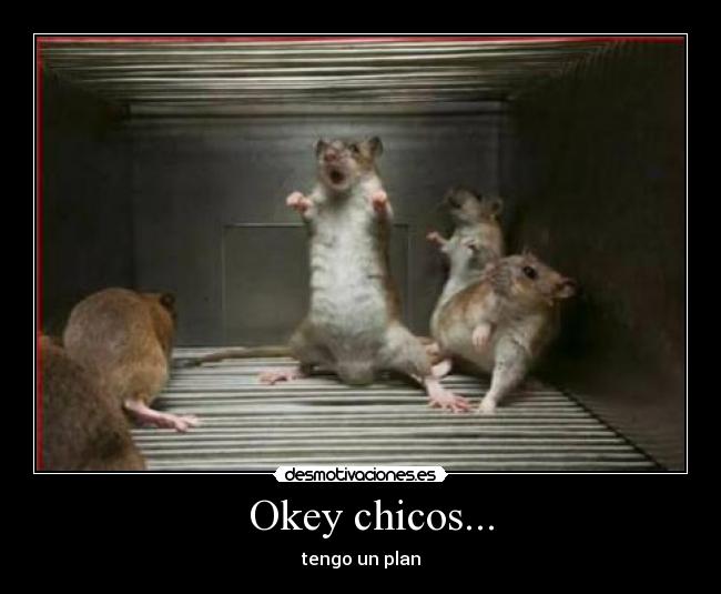 Okey chicos... - tengo un plan