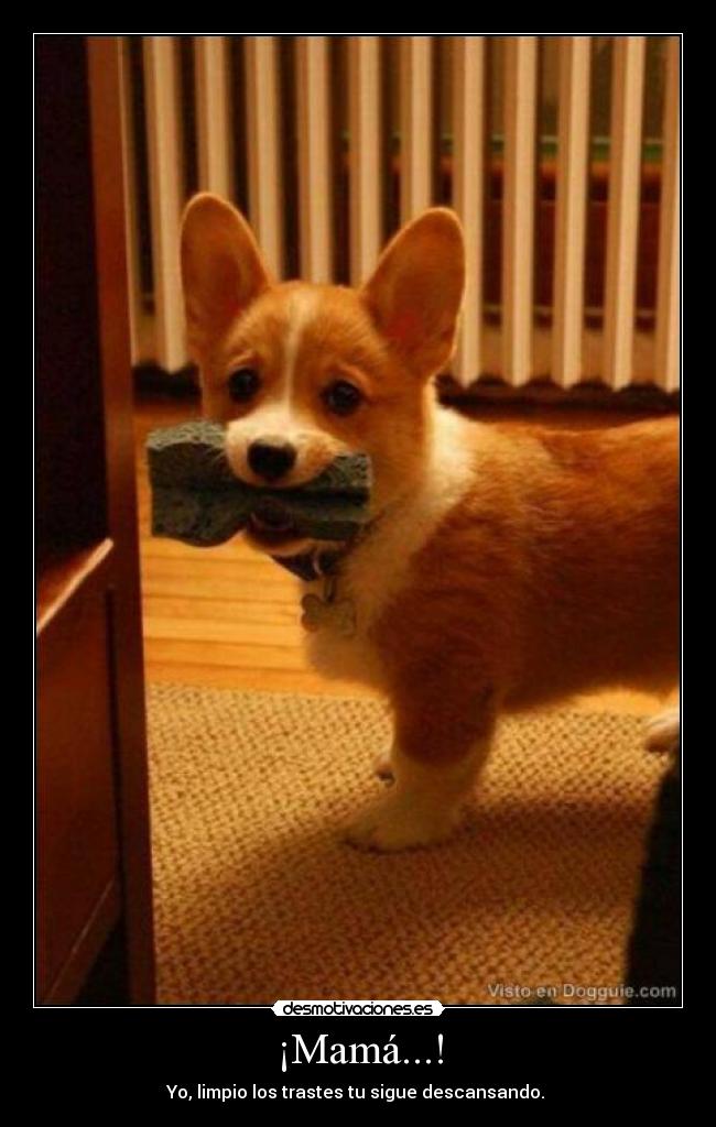 ¡Mamá...! - Yo, limpio los trastes tu sigue descansando.