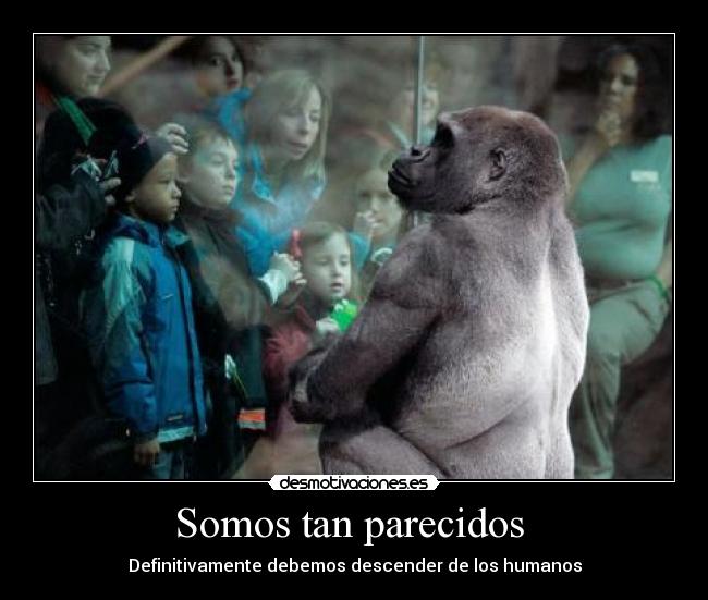 Somos tan parecidos  - 