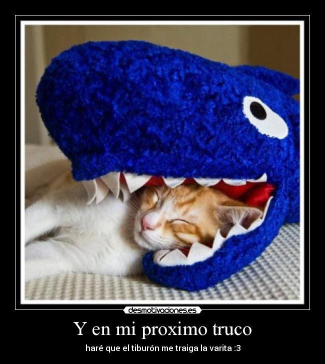 carteles tiburon desmotivaciones