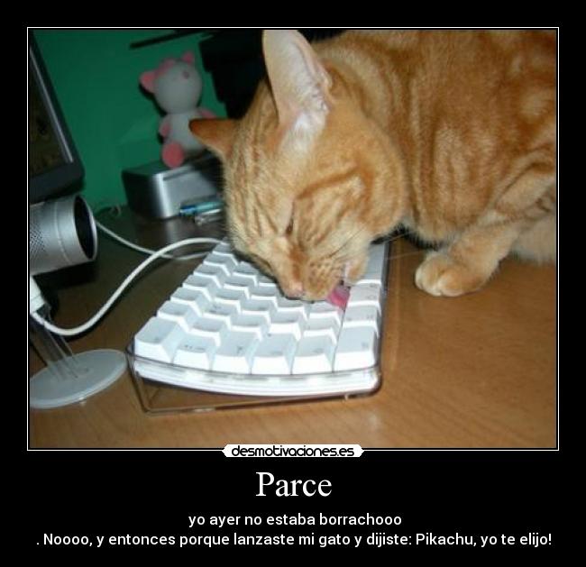 Parce -  yo ayer no estaba borrachooo
. Noooo, y entonces porque lanzaste mi gato y dijiste: Pikachu, yo te elijo!