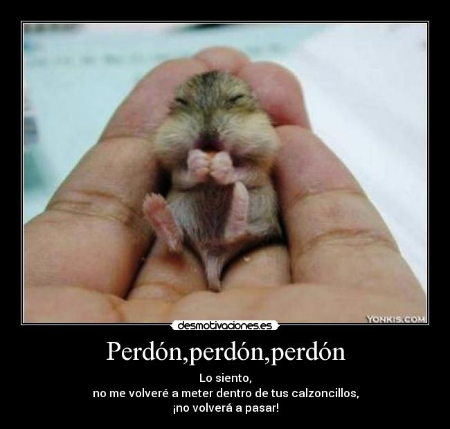 carteles perdonperdonperdon desmotivaciones