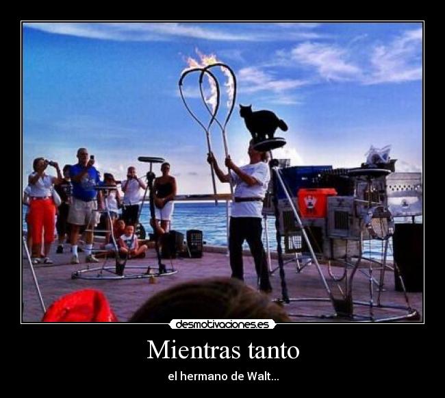 carteles mientras tanto desmotivaciones