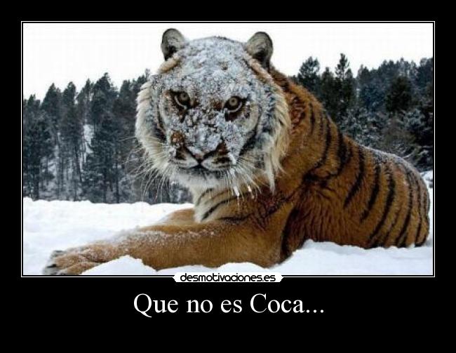 Que no es Coca... -