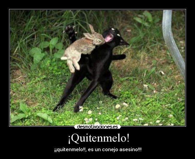 ¡Quitenmelo! - ¡¡quitenmelo!!, es un conejo asesino!!!