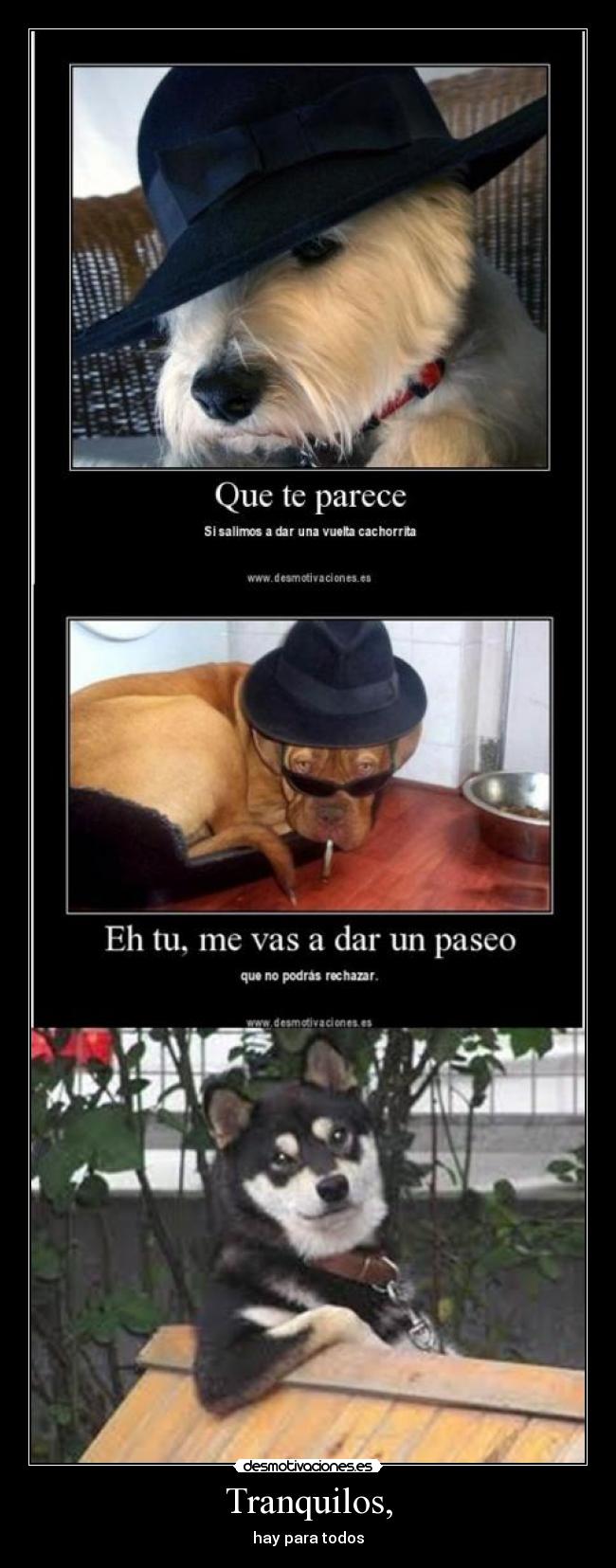 Tranquilos, - hay para todos