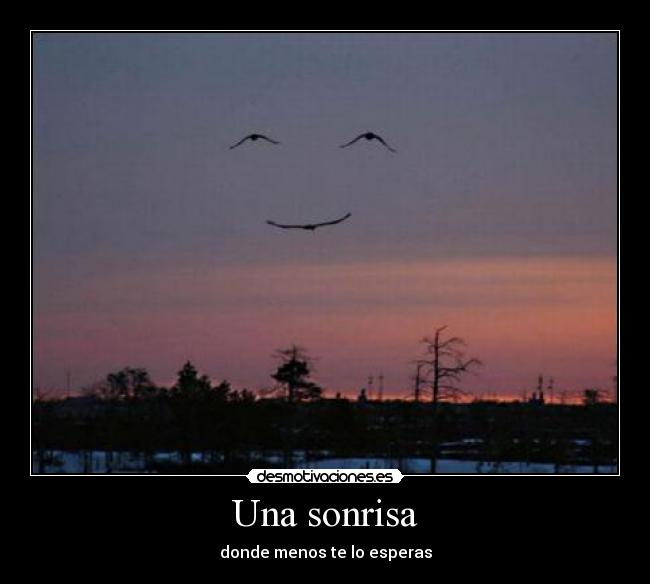 carteles sonrisa nicolkyd desmotivaciones