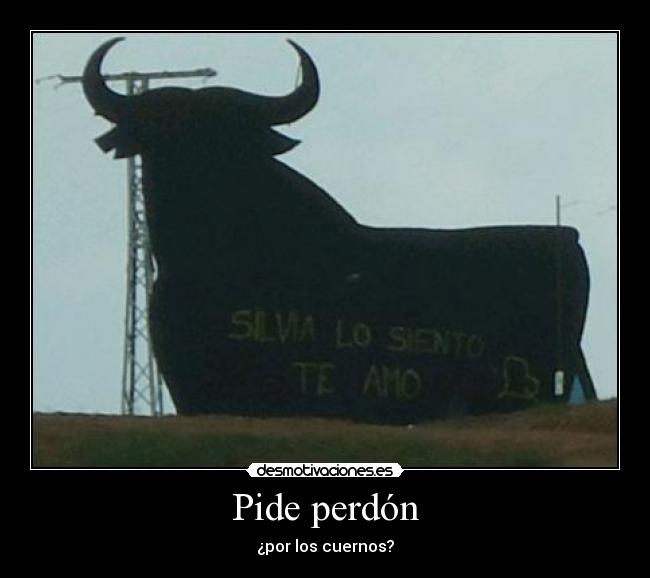 Pide perdón - ¿por los cuernos?