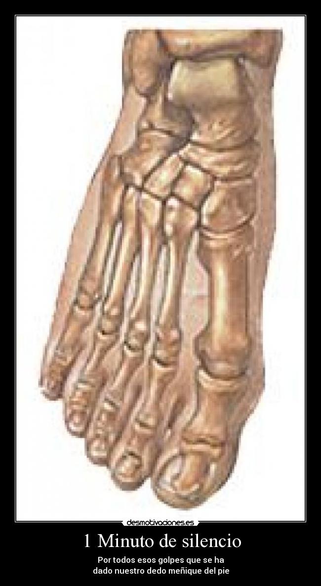 1 Minuto de silencio - Por todos esos golpes que se ha
dado nuestro dedo meñique del pie