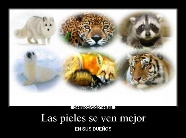 Las pieles se ven mejor -