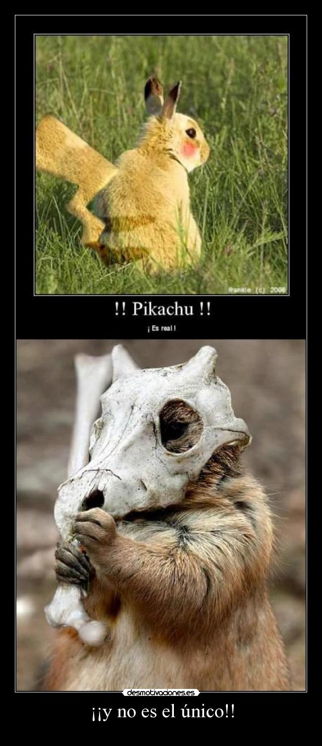 ¡¡y no es el único!! -