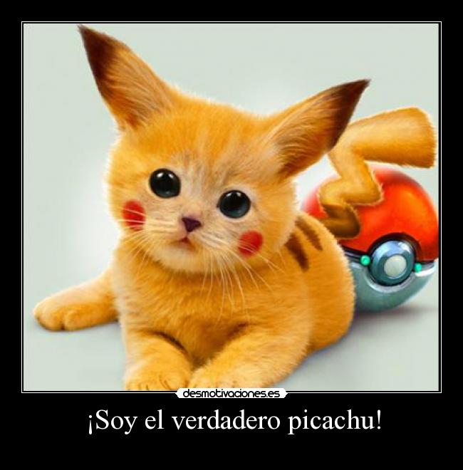 ¡Soy el verdadero picachu! -